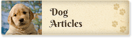 Dog Articles