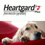 Link to Heartgard ® Website