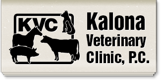 Kalona Veterinary Clinic Home