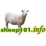Link to Sheep 101.Info Website