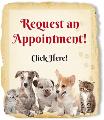 Request an Appointment! Click Here.